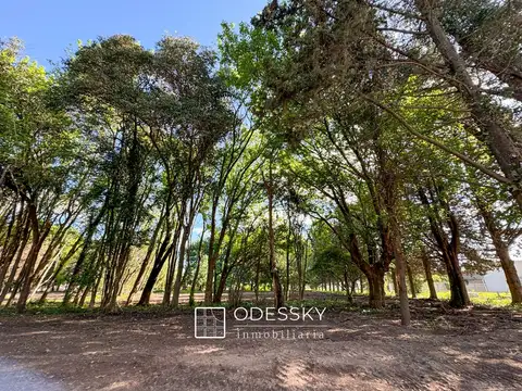 Terreno en Venta 12  mts Frente