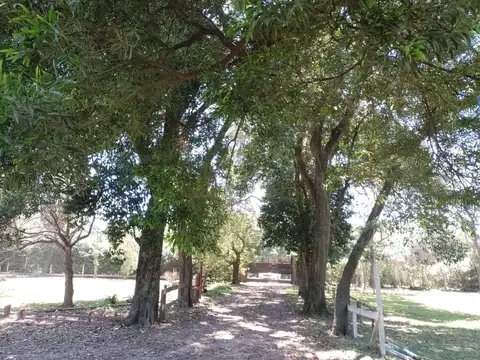 Quinta en Venta de 3 dormitorios