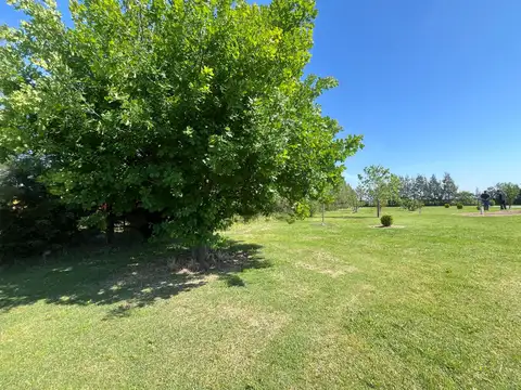 Campo con casa en venta en Uribelarrea