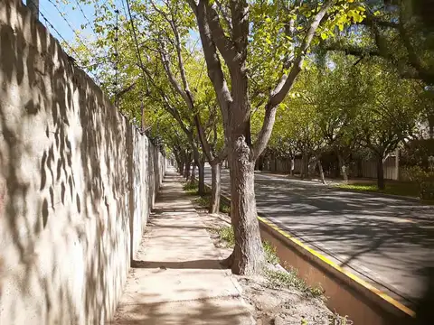 Calle Gutiérrez  al 2888