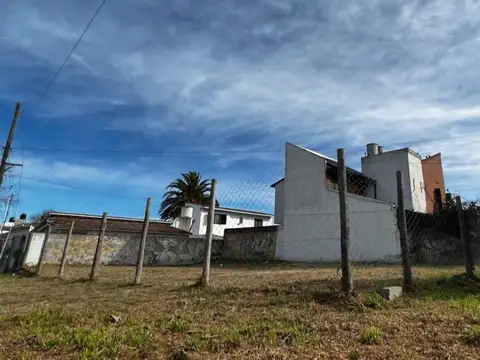 Mariani y Calasanz