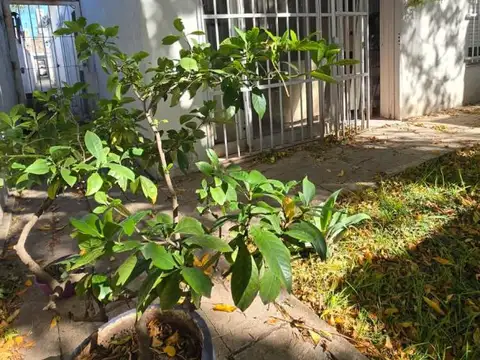 Depto Tipo Casa en Venta de 3 ambientes