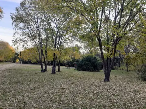 VENDE TERRENO 1900 METROS EN VILLA GRAL BELGRANO