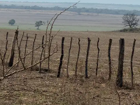 VENTA DE CAMPO AGRICOLA 1000- GANAD. 256 HECTAREAS