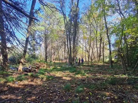 Terreno en Venta de 1200,0 m2