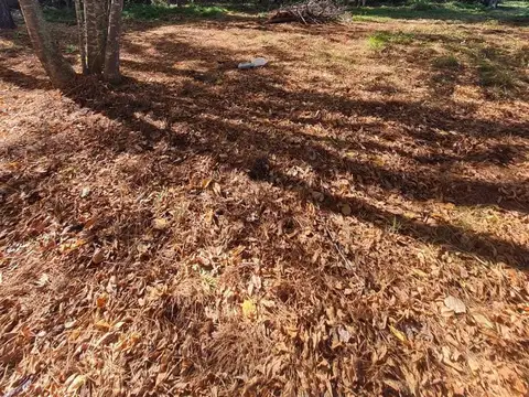 Parque Las Naciones