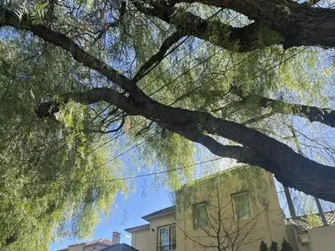 Casa en Venta en Club de Campo - Guaymallén
