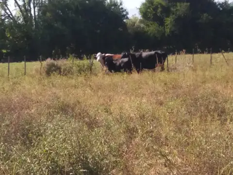 Quinta en Venta en Villa Dolores, USD 120.000