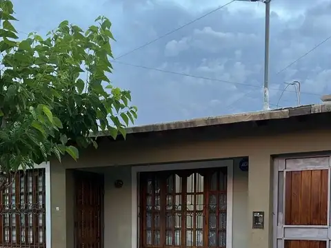 Bebedero 100