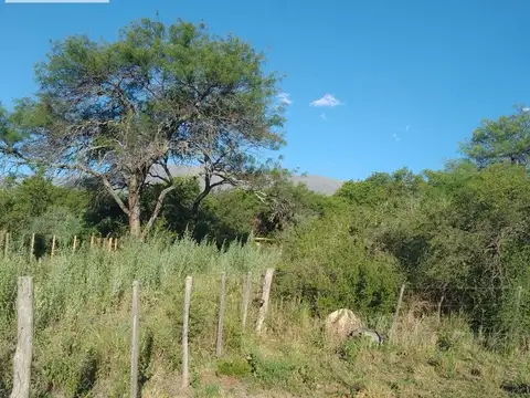 Terreno - Luyaba