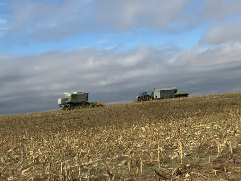 VENTA - 300 Has. agrícolas Villa Mercedes (San Luis)