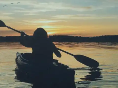 Lote | Autovia 2  al 100