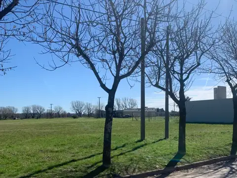 VENTA  TERRENO EN SOLDINI