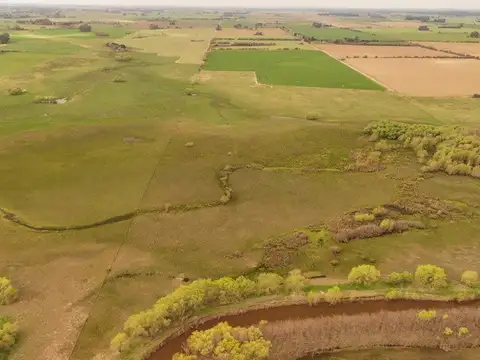 290 Has. Mixtas “Estancia EL CARDAL” – Zárate, Bs As