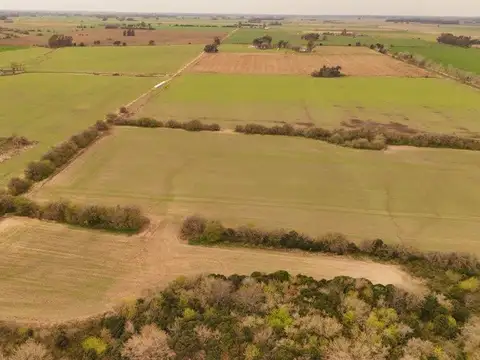 Campo en Venta Agricola
