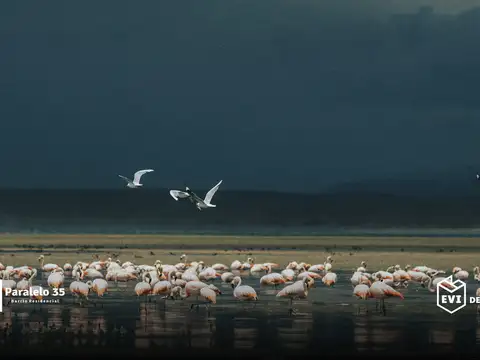 Terreno en Venta en El Nihuil, USD 13.200