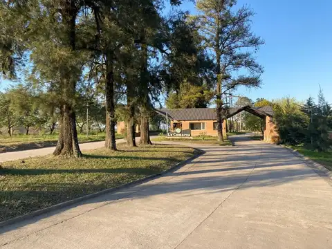 Ruta Provincial 305 100