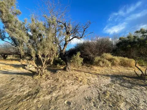 Cafayate. El Bosque. Lote 100