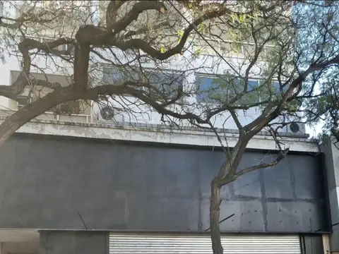 LOCAL CENTRICO 460M2 EN PLANTA BAJA POR CALLE LAPRIDA