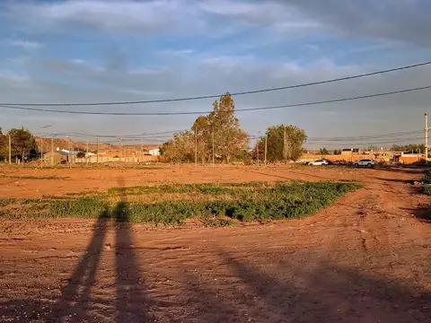 Terreno en Venta en Plottier, USD 15.000