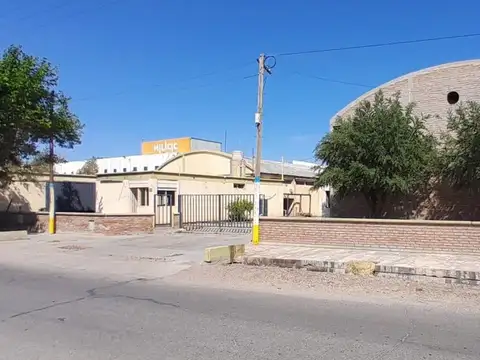 General Mosconi 100