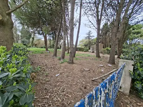 Diagonal 66 y 8
