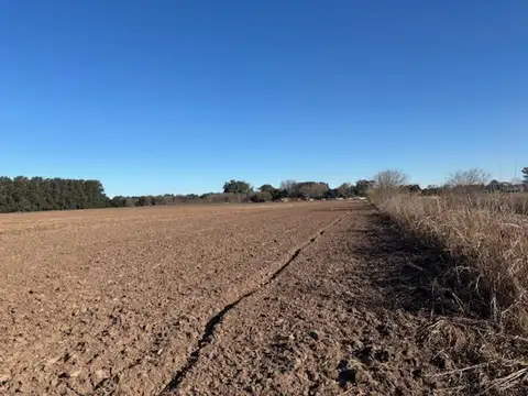 Oportunidad 10 has de campo agrícola en San Pedro.