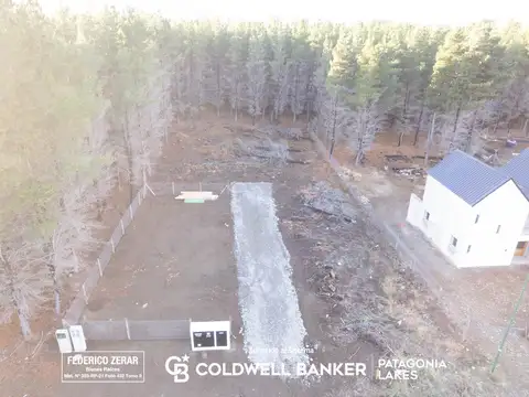 Dina Hue, Dina Huapi