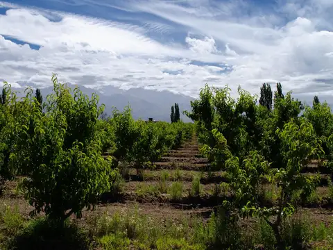 Lencinas S/N Vista Flores, Tunuyán