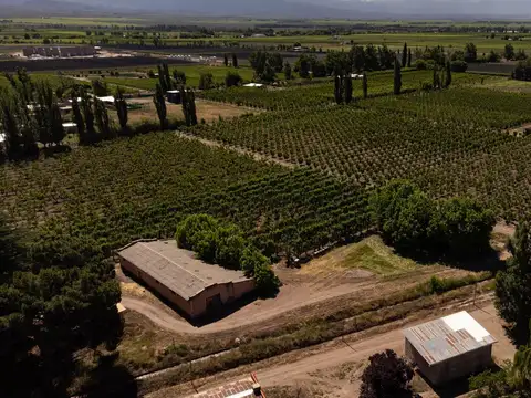 Finca en  Venta en Tunuyán