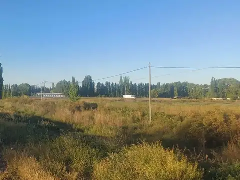 Terreno en Alquiler de 5000,0 m2