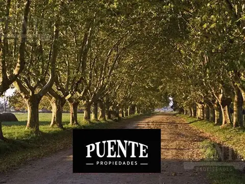 Terreno - Estancia Villa Maria - Canning - Ezeiza - Lote - Ezeiza - Barrio con Seguridad