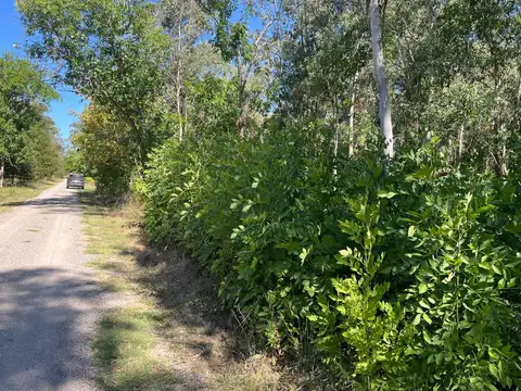 Terreno en Venta en Coronel Brandsen, USD 41.200