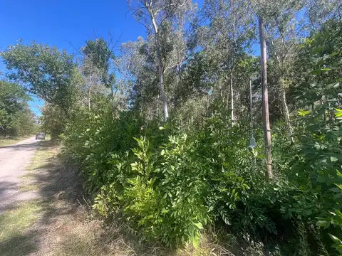 Terreno en Venta de 3200,0 m2