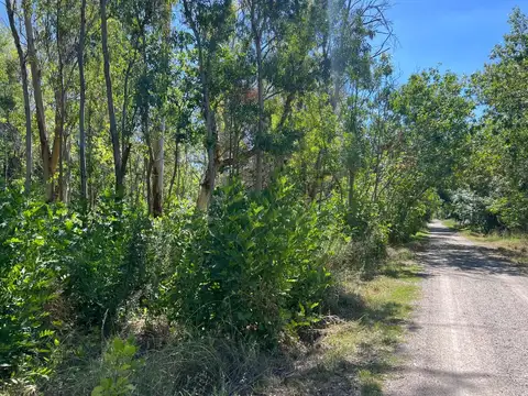 Terreno en Venta en Coronel Brandsen, USD 41.200