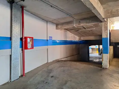 Mario Bravo 800