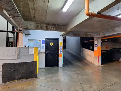 Mario Bravo 800