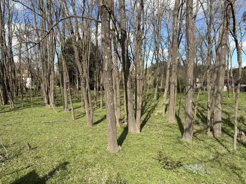 Terreno en Venta 51  mts Fondo