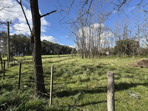 Calle 3 y 15, Elvira