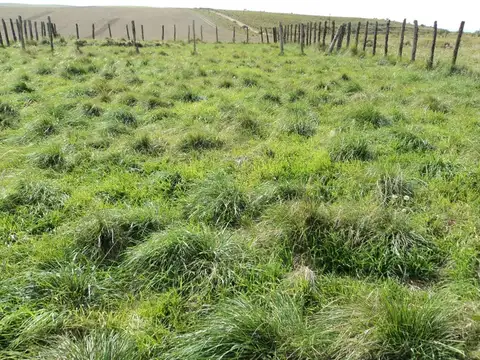 Campo en Venta de 0,17  ha