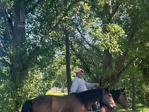 Haras el Malacate