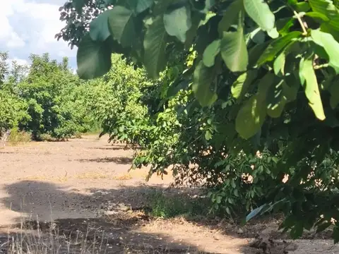 Venta Finca 14 has Nogales San Carlos Valle de Uco