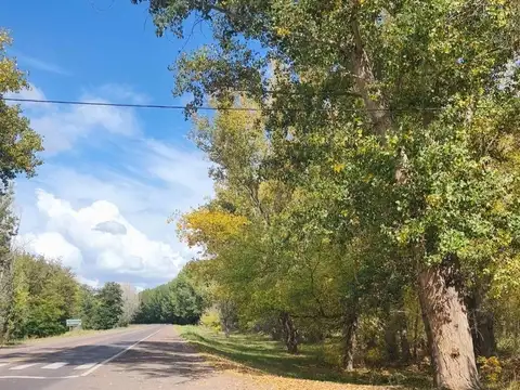 Venta Finca 14 has Nogales San Carlos Valle de Uco