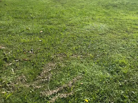 Terreno en Venta en San Matias, USD 78.000