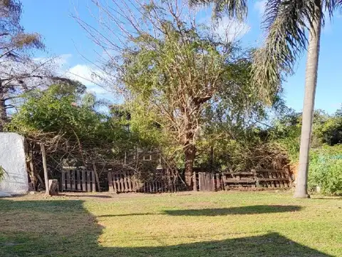 Combate De San Lorenzo 250