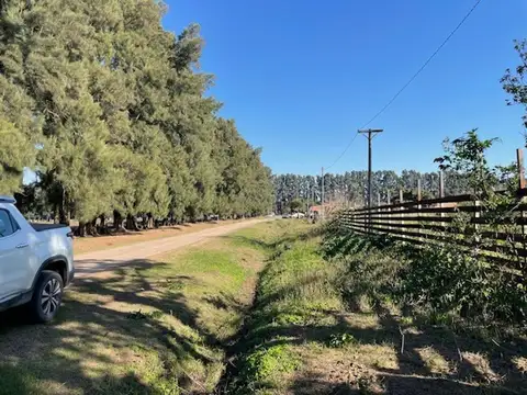 Terreno en Venta 88  mts Fondo