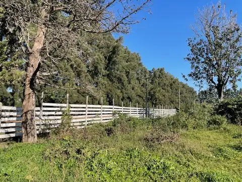 Terreno en Venta de 6664,0 m2