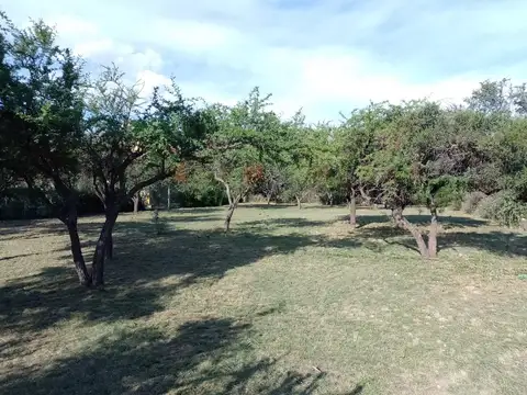 Cañada de los Zainos