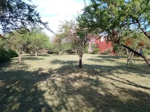 Terreno en Venta 24,50  mts Frente