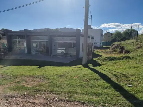 LOS MEMBRILLOS 100